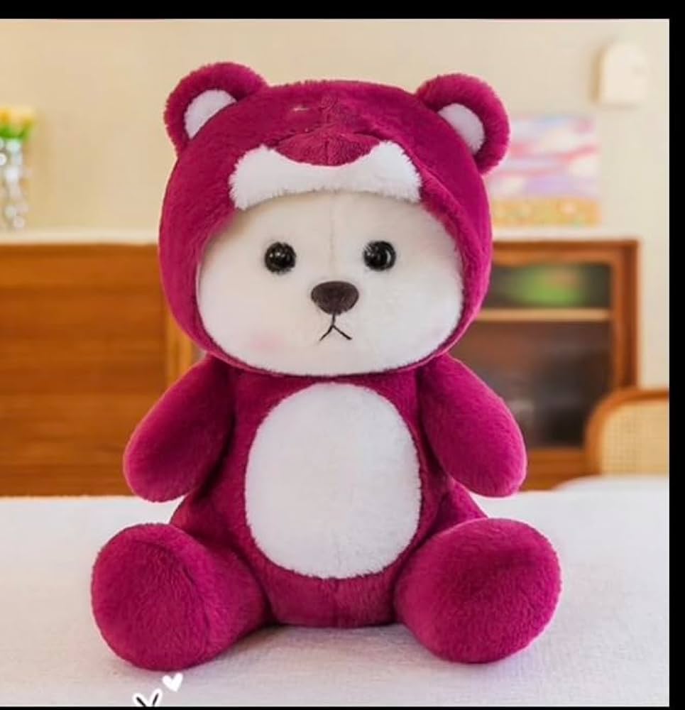 Hoodie Teddy Bear Cute Stuffed Animal Soft Toy